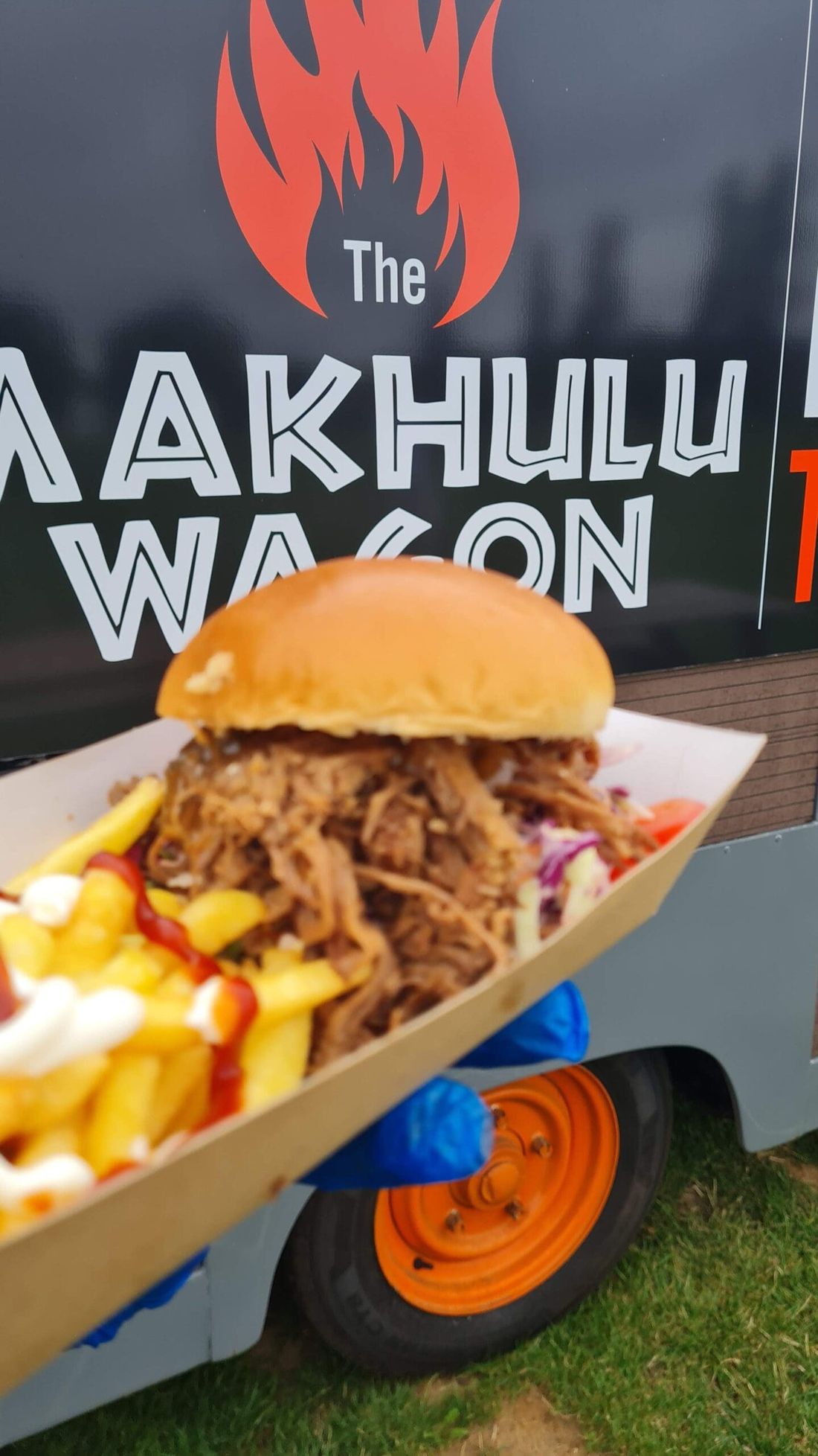 Shredded beef brisket roll with fries