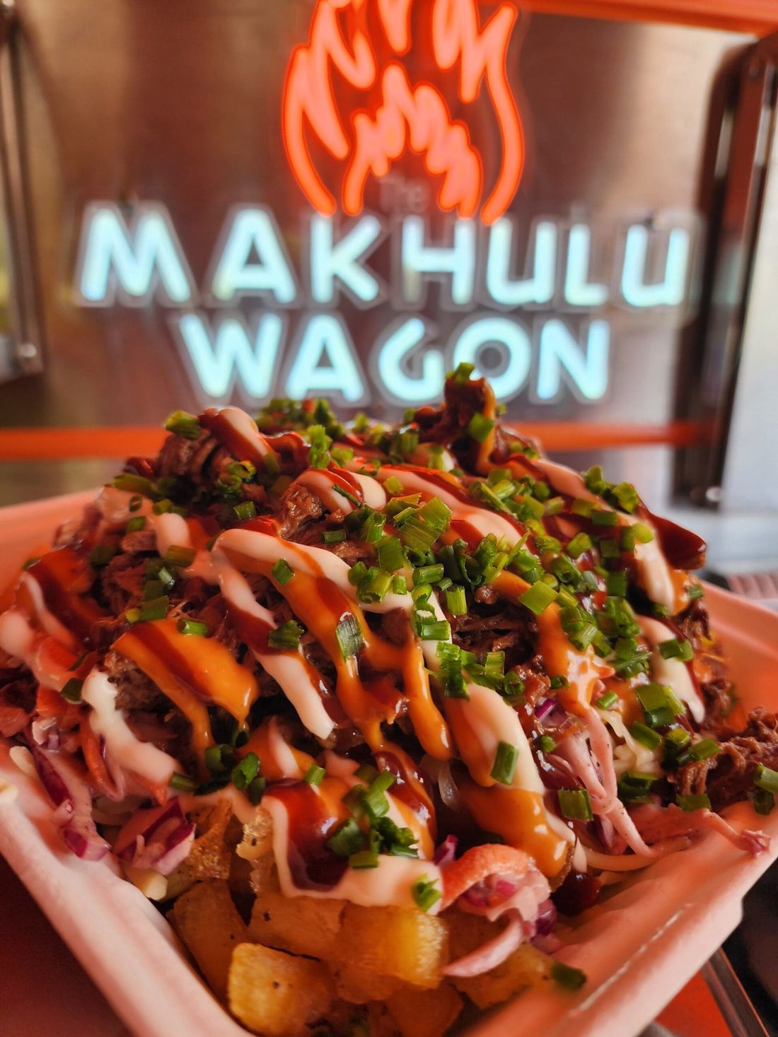 Loaded fries with pulled pork, slaw and sauces